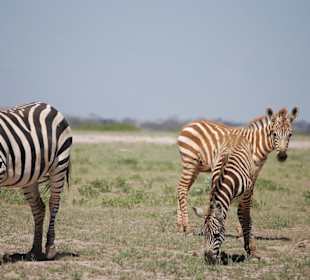 Amboseli