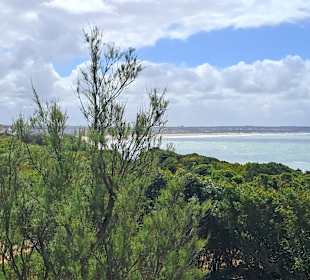 Periurbano de La Barrosa Park