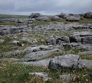 Burren Landschaft