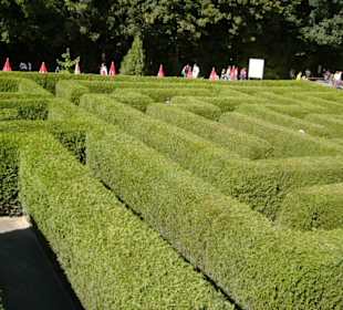 Blick über den Irrgarten