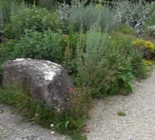 ALB-GOLD Naturgarten