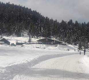 Weg hin zur Wildmoosalm