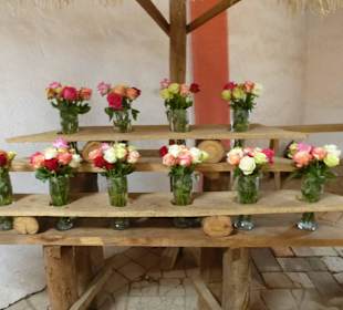 Der Besitzer ist ein Rosenfreund