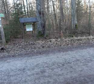 Ochsenweiher Rundweg