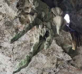 Ausflug zum National Park Los Tres Ojos mit Andy