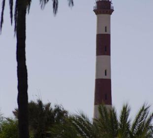 Aussicht auf den Leuchtturm von der Crocofarm aus