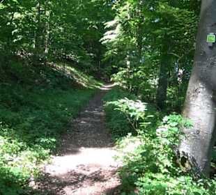 Premiumwanderweg "hochgelegen"