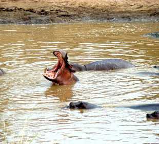 Jetzt ist es aber genug!