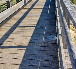 Carvoeiro Boardwalk