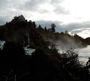 Schloss Laufen in Schaffhausen