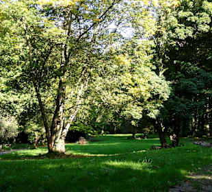 Die Schillerwiese in Herbststimmung 