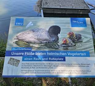 Vogelrastplatz