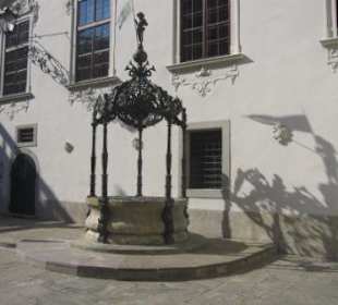 Brunnen im Innenhof des Landhaushofs