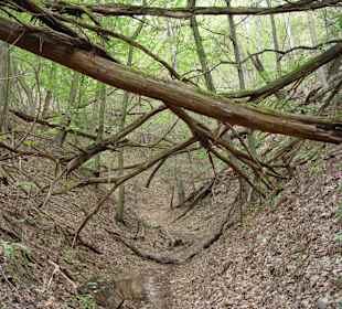 Wolfsschlucht