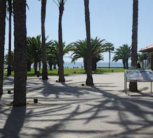Stadtrundgang Maspalomas