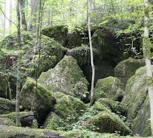 Märchenwald bei Ruhpolding