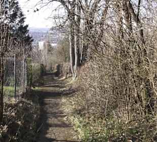 Scheibengipfel