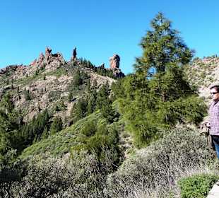 Blick zu "Mönch", "Frosch" u. "Nebelfelsen"