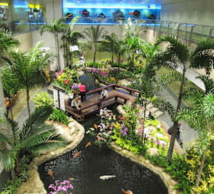 Wunderschöner Teich im Terminal 2