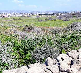 Archäologischer Park Kato Pafos