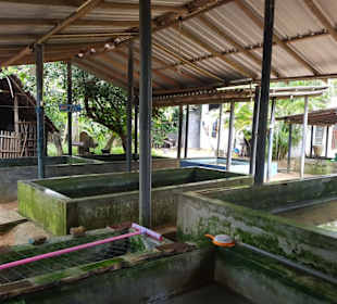 Die verschiedenen Becken