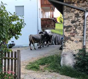 Wandern Sluderno / Schluderns