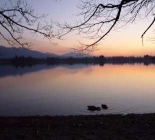 Staffelsee