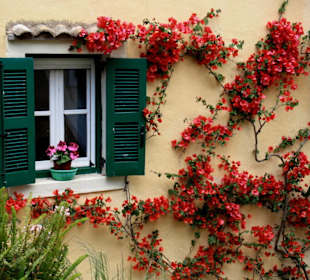 Idylle im Dorf Chlomos