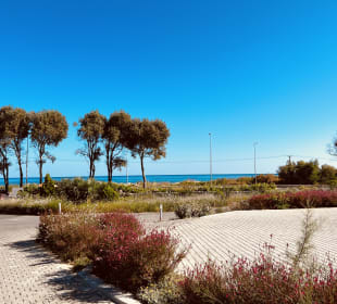 Strand Georgioupolis