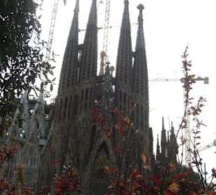Sagrada familia
