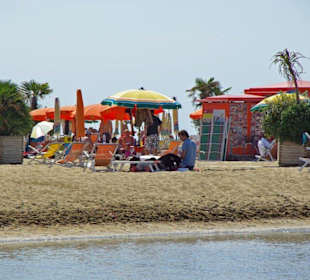 Hunde am Strand von Bibione
