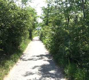 Weinlehrpfad Wurmlingen