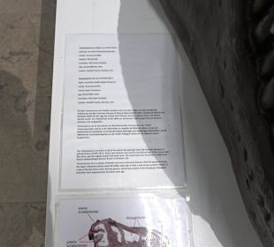 Staatliches Naturkunde Museum