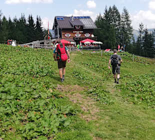 Wandern Kleinarl