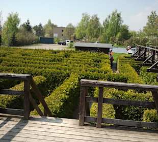 Aussichtsplateau Labyrinth