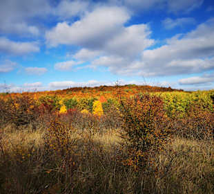 Wildkatzendorf Hütscheroda