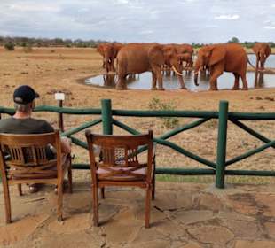 Tsavo Ost in der Lodge