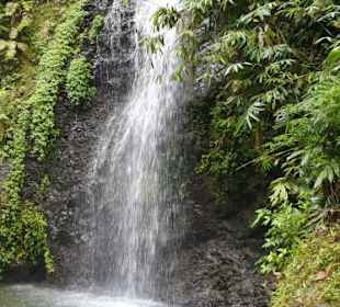 Nord-Martinique Wasserfall
