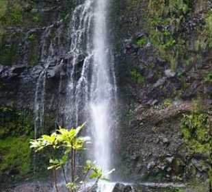Queimadas/Caldeirão Verde