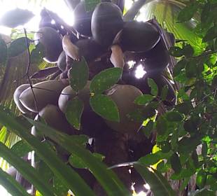 Ausflug mit Mario von Edelweiss Tours