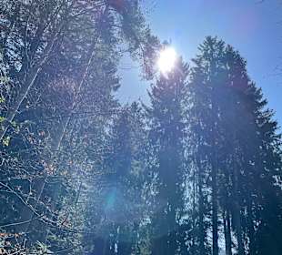 Wandern Hinterzarten