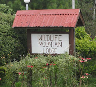 Ausflug wildfife expeditions