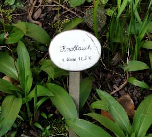 Verweise auf die Textstellen der Bibel