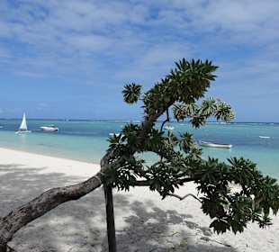 Public Beach Le Morne
