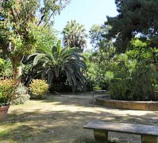 Rundgang durch den Botanischen Garten Cagliari