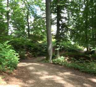 Burg Alt-Lichtenstein