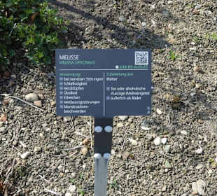 Erläuterungen der Kräuter