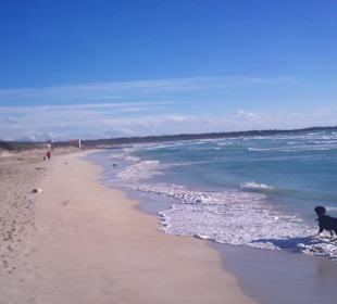 Lage & Umgebung Es Trenc