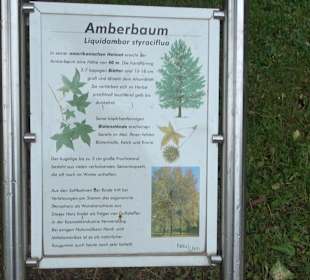 Baumlehrpfad Glacis Park