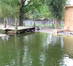 Tierpark